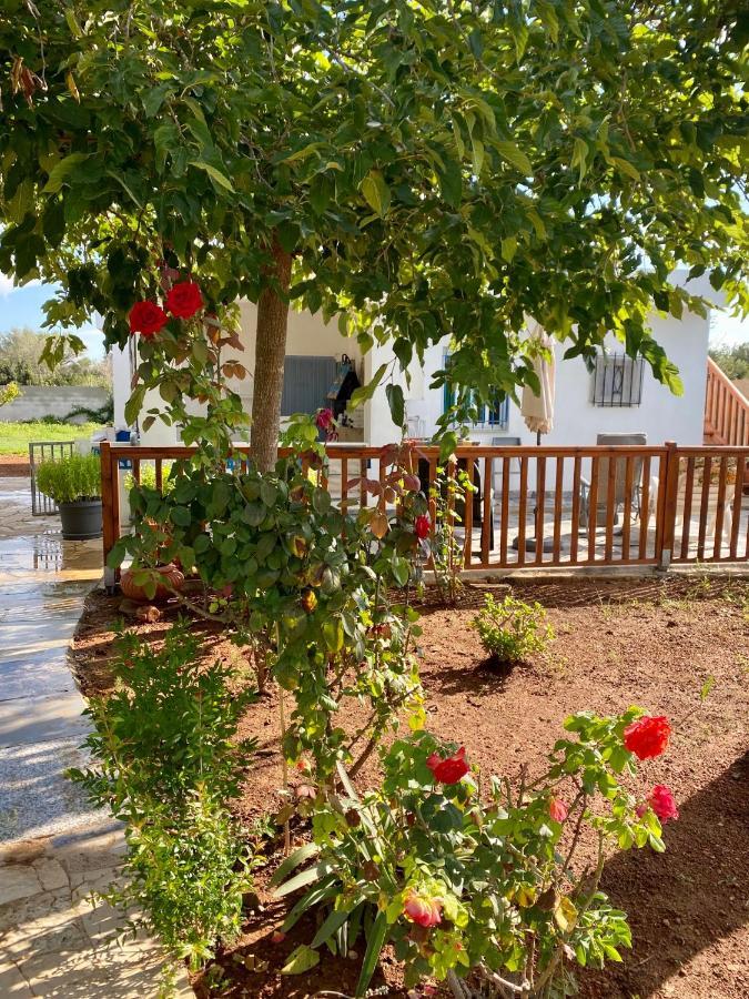 Casa Dominaty Bed & Breakfast Cálig Екстериор снимка