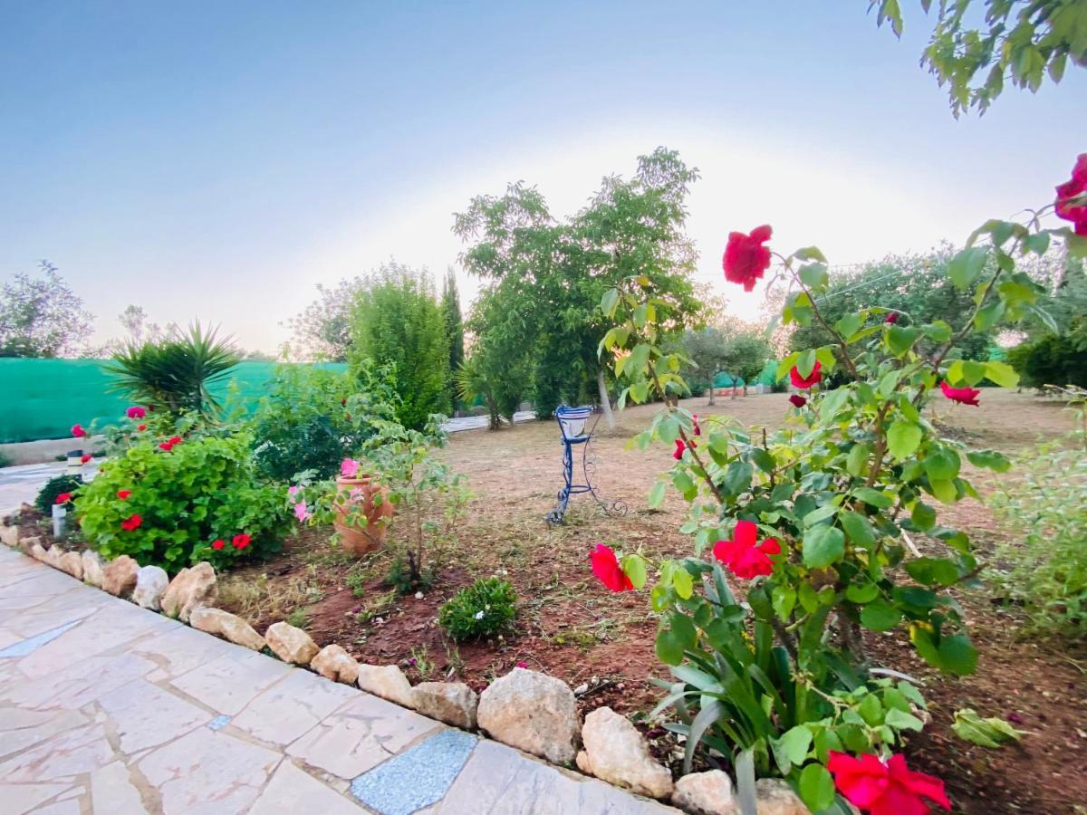 Casa Dominaty Bed & Breakfast Cálig Екстериор снимка