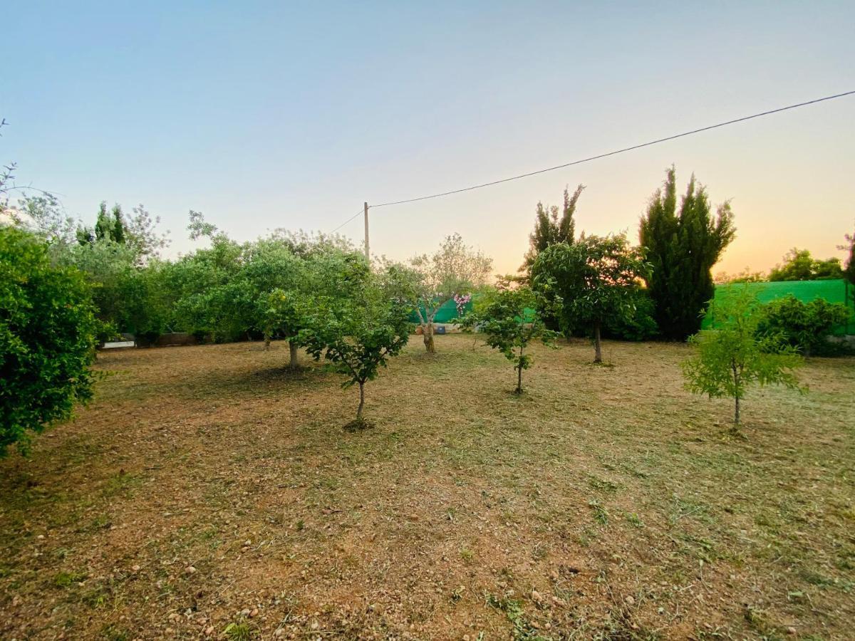 Casa Dominaty Bed & Breakfast Cálig Екстериор снимка