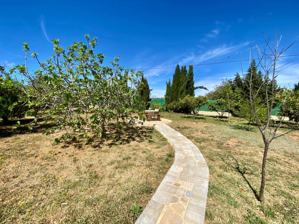 Casa Dominaty Bed & Breakfast Cálig Екстериор снимка